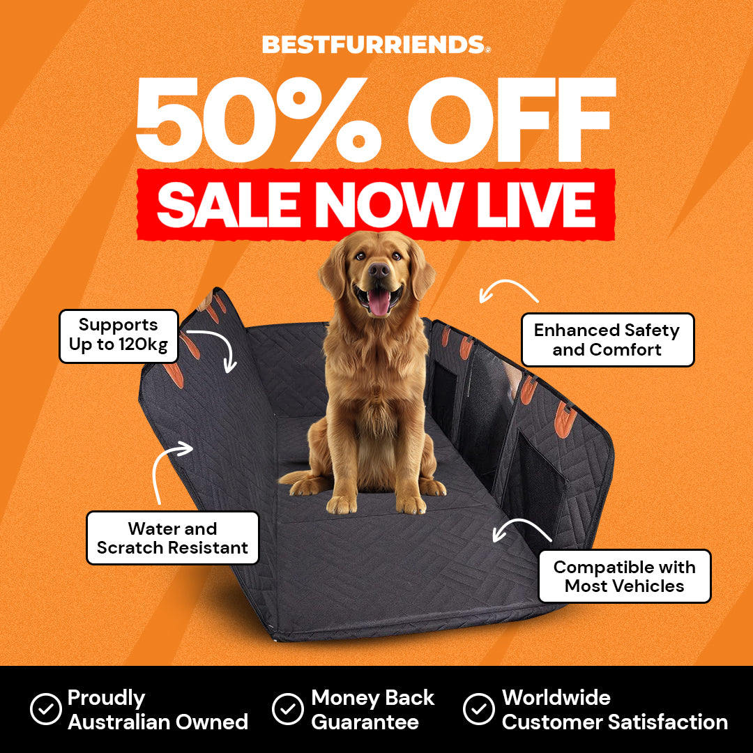 BestFurriends Hard-Bottom Pet Car Seat Protector