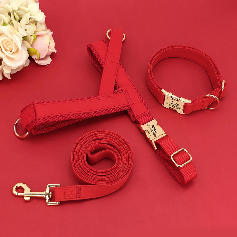 BestFurriends LuxeSecure Set