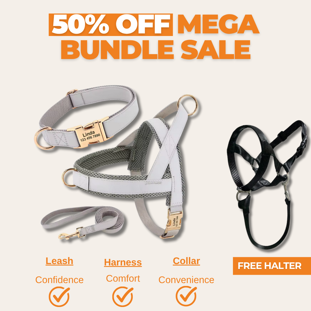 BestFurriends LuxeSecure Set