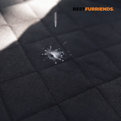 BestFurriends Hard-Bottom Pet Car Seat Protector